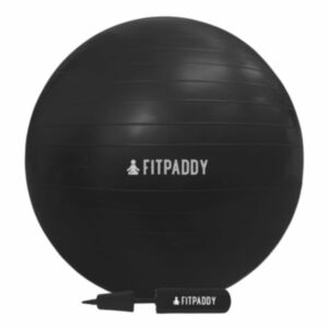 Palla ginnica 65 cm Fitpaddy
